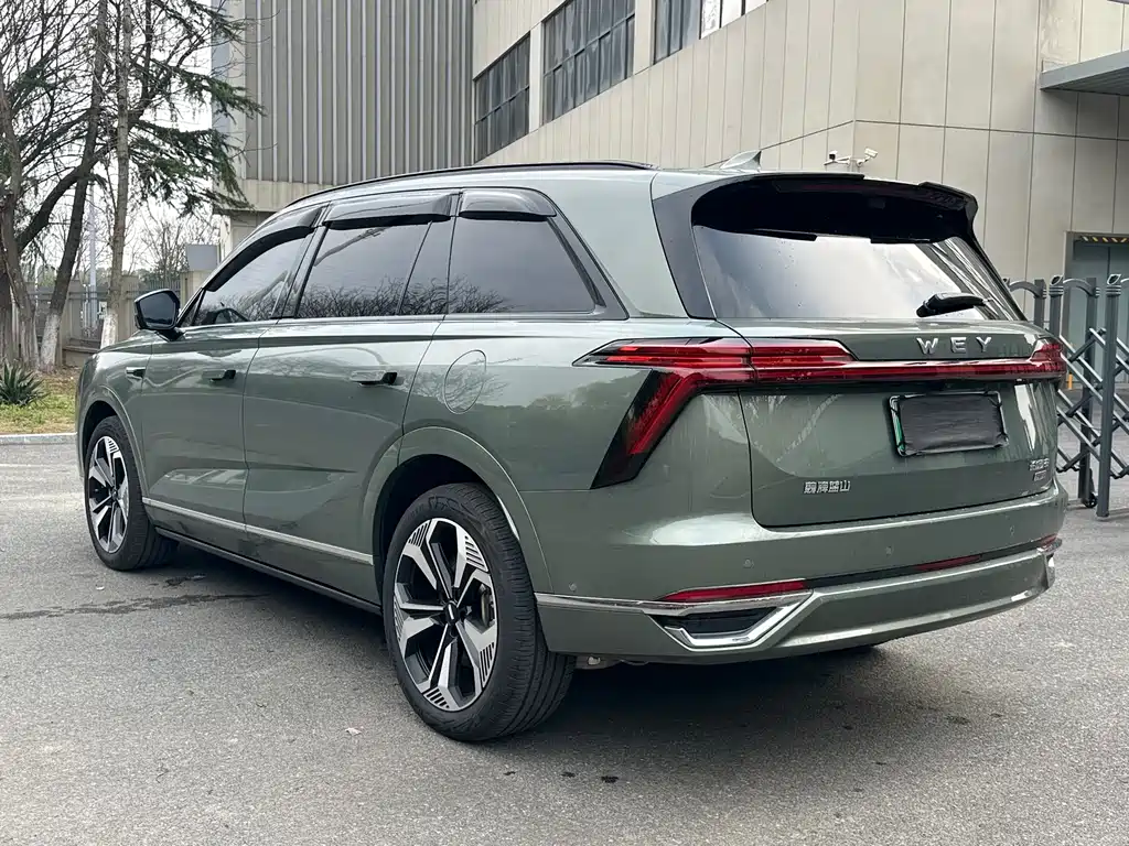 WEI PAI WEI BRAND BLUE MOUNTAIN