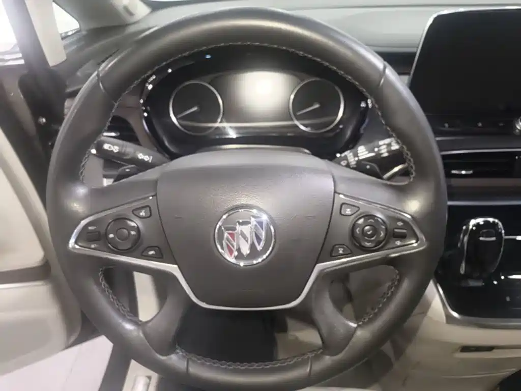 Buick GL8 — миниатюра 11