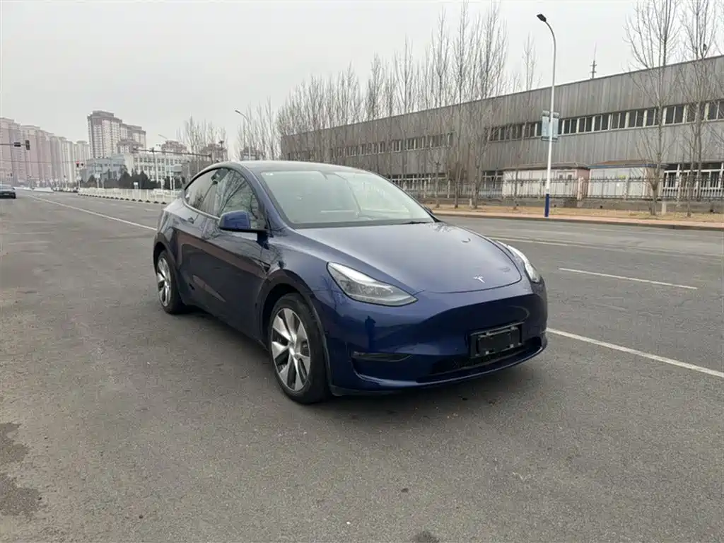 Tesla Model Y 2021