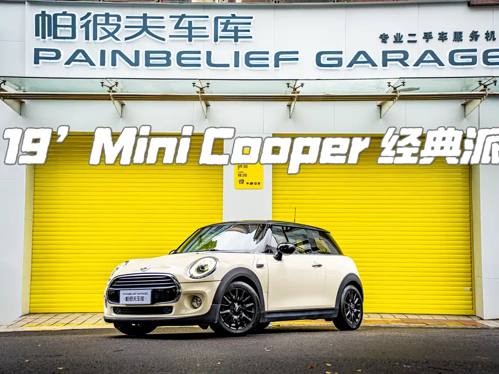 Mini Mini 2019