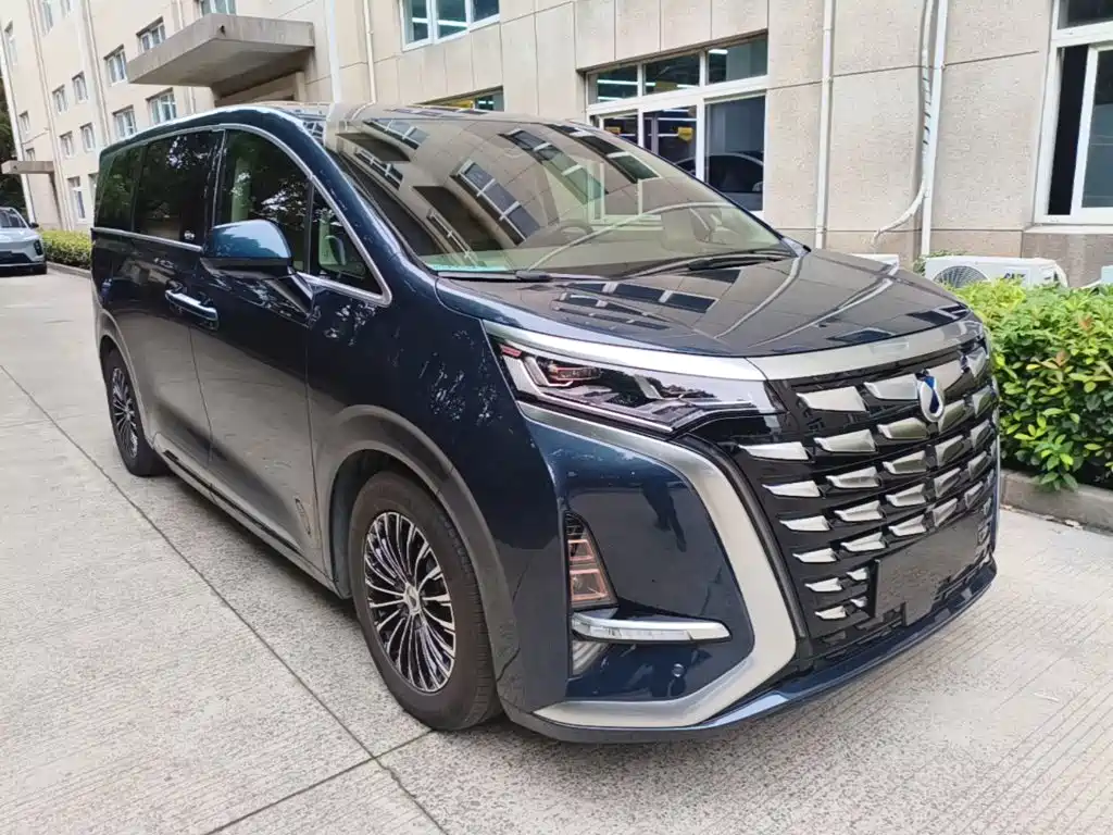 Denza Denza D9 — миниатюра 4