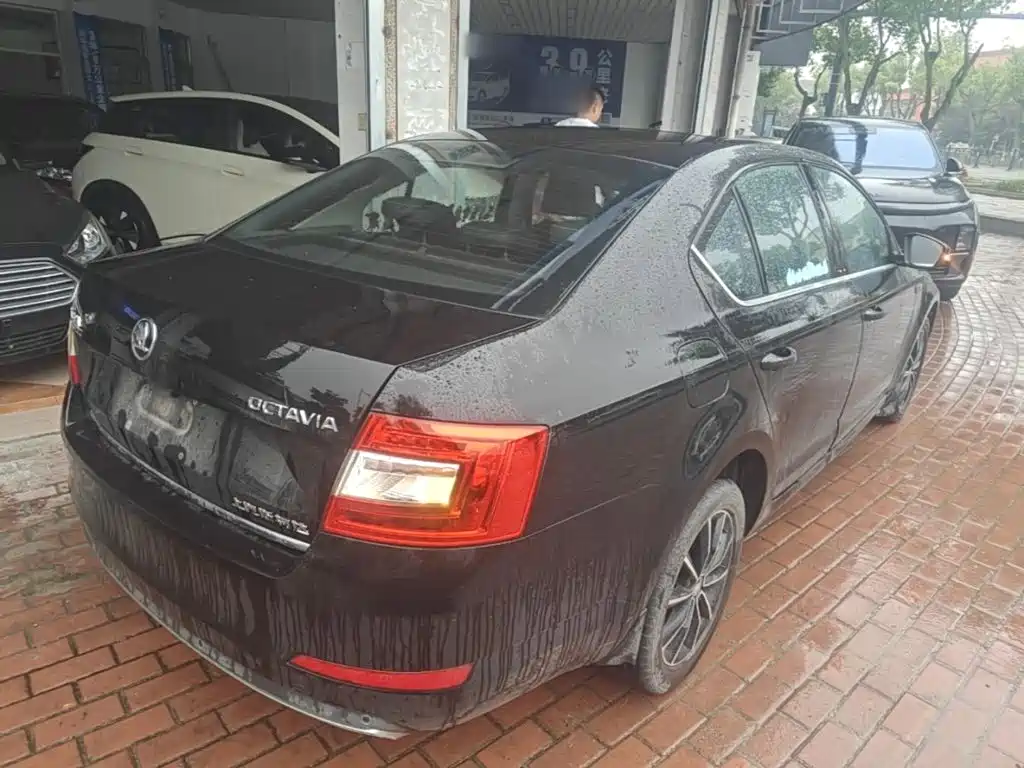 Skoda Octavia — миниатюра 7