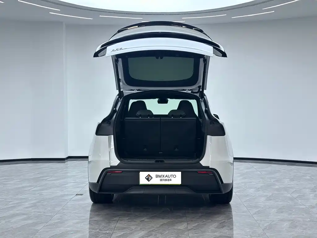 Tesla Model Y L — миниатюра 2