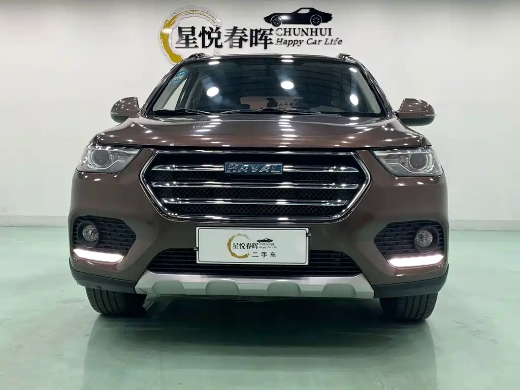 Haval H6 — миниатюра 2
