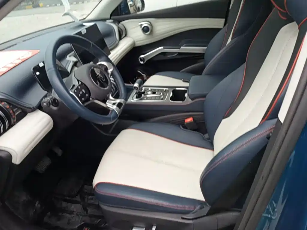 BYD Yuan Plus — миниатюра 15