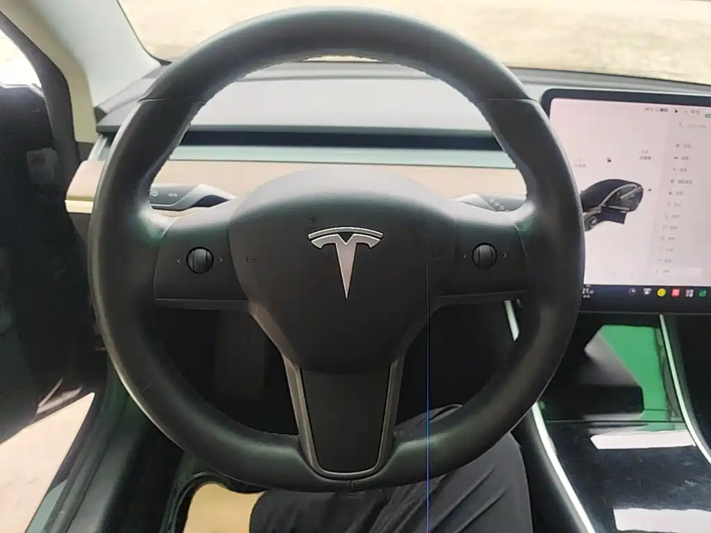 Tesla Model 3 — миниатюра 11