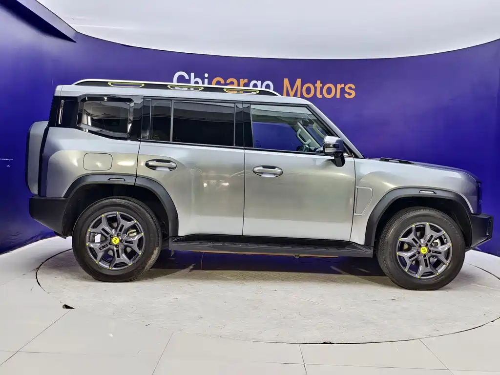 Shanhai Traveller C-DM — миниатюра 8