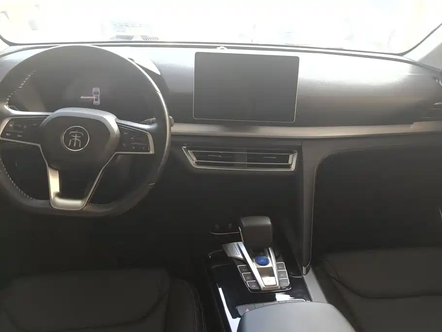 BYD Pro — миниатюра 12