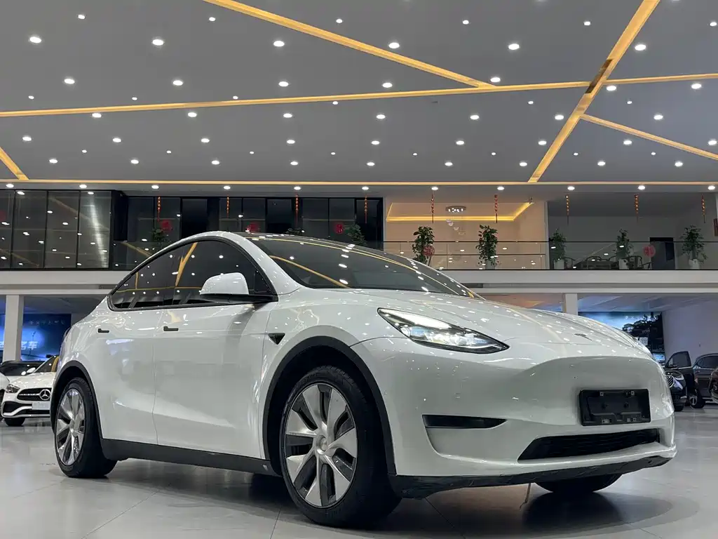 Tesla Model Y — миниатюра 2