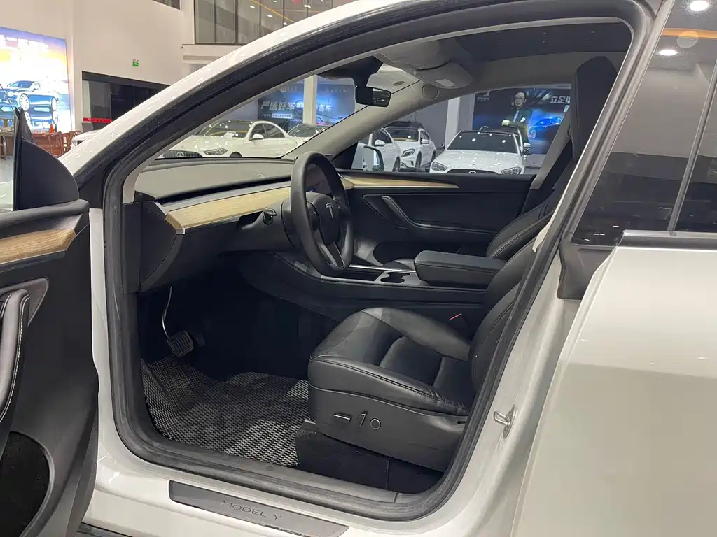 Tesla Model Y — миниатюра 8