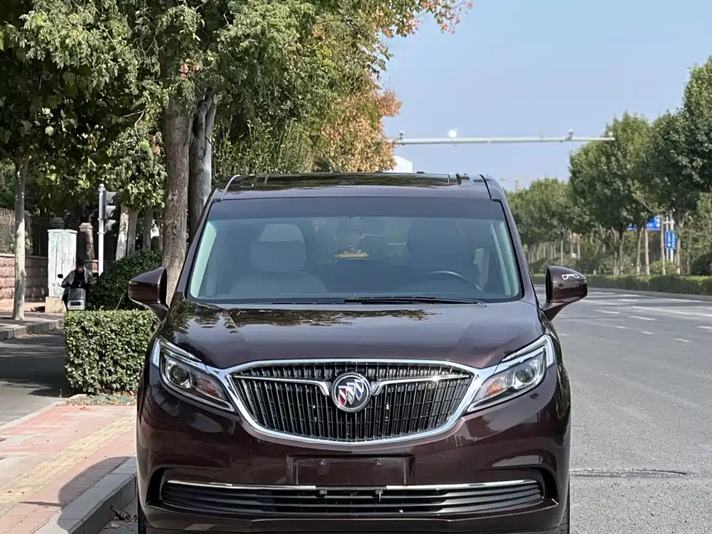 Buick GL8 — миниатюра 2