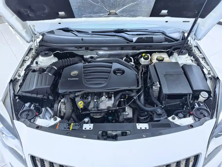Buick Regal — миниатюра 10