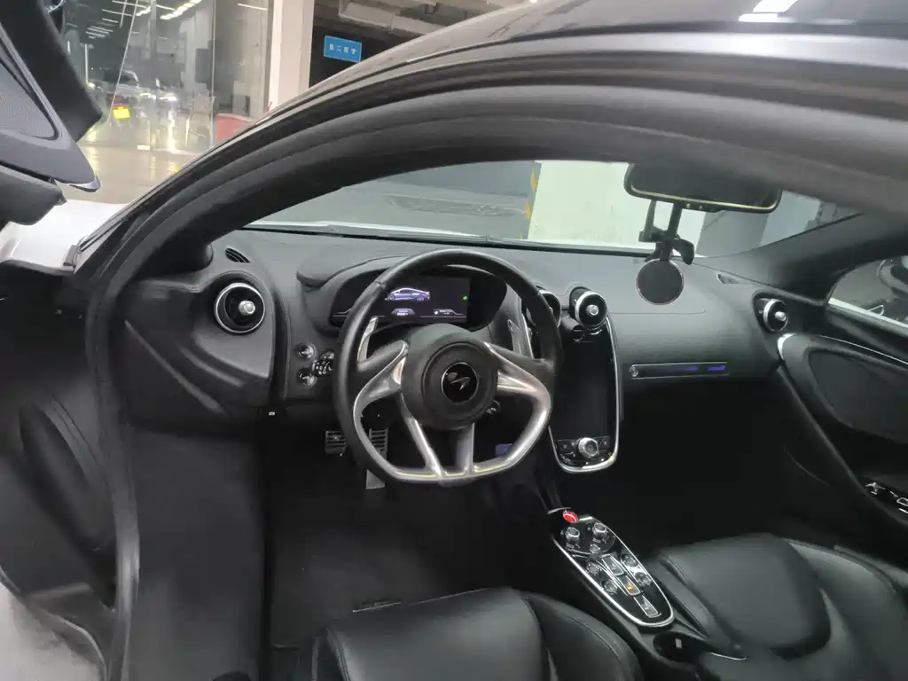 McLaren GT 4.0T Standard Type, фото 3