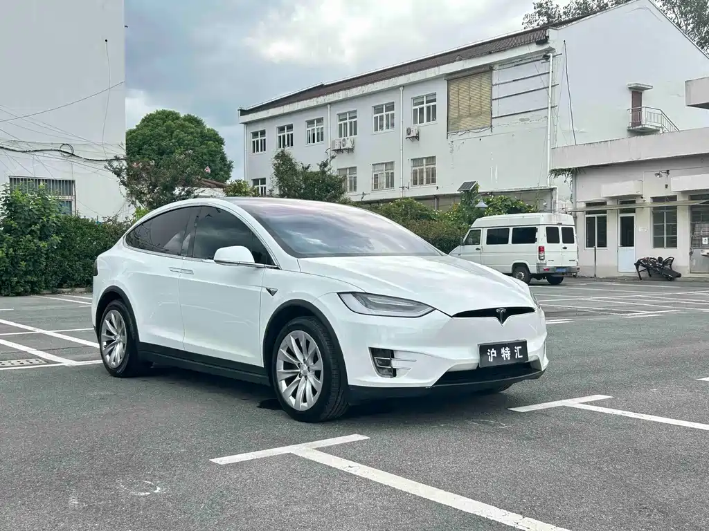 Tesla Model X — миниатюра 19