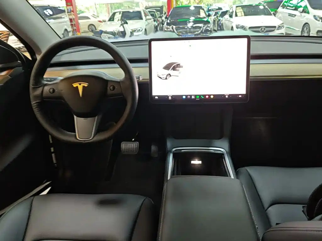 Tesla Model Y — миниатюра 10