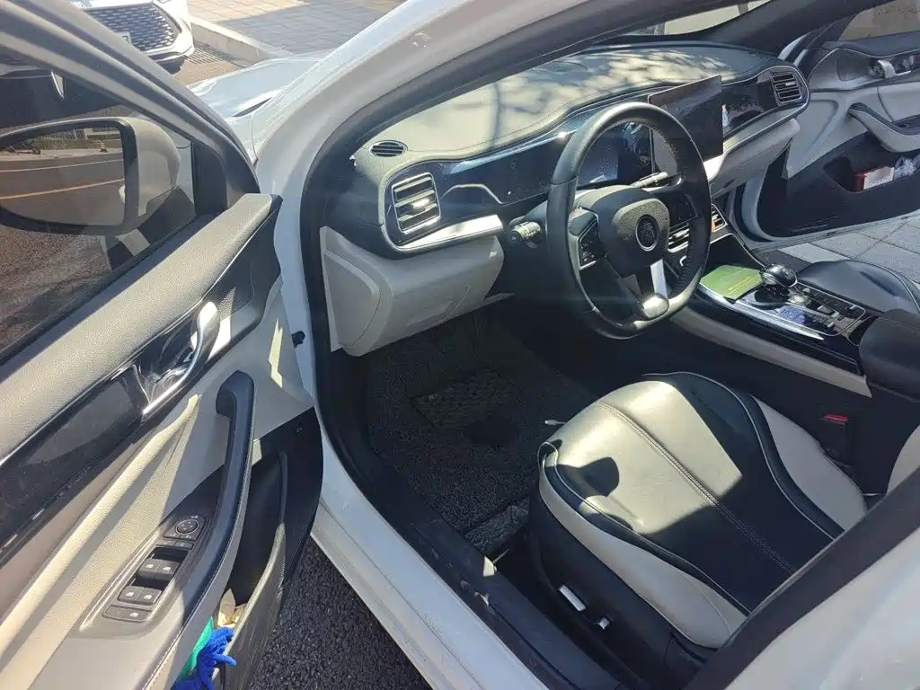 BYD Qin PLUS — миниатюра 12