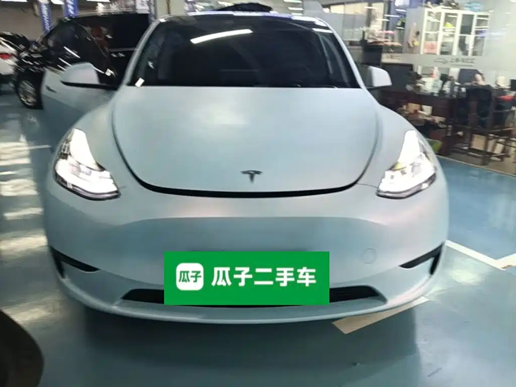 Tesla Model Y — миниатюра 3