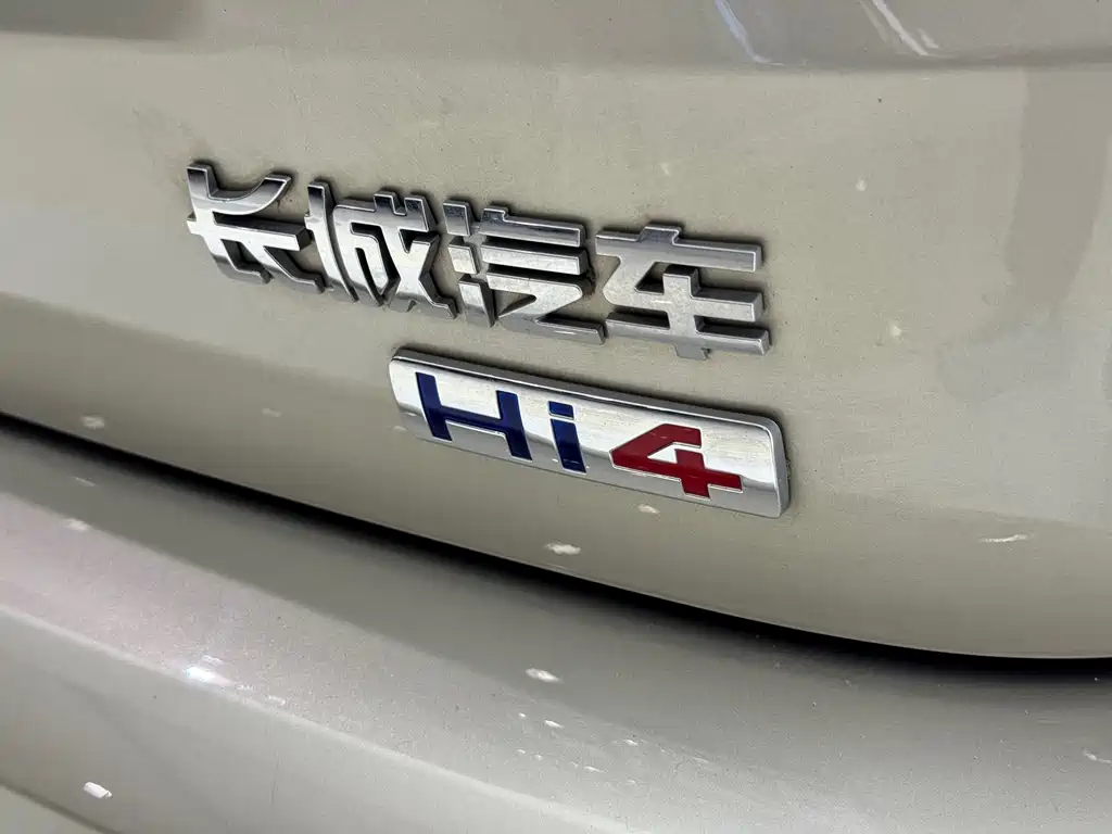 Haval Big Dog PLUS New Energy — миниатюра 17
