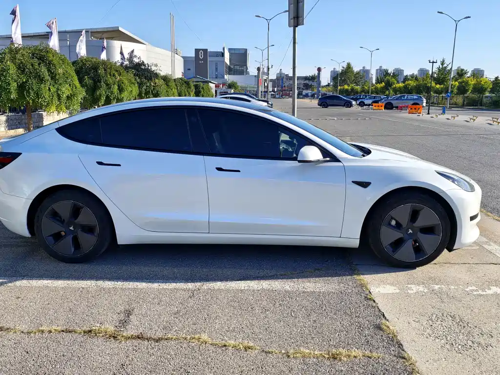 Tesla Model 3 — миниатюра 4