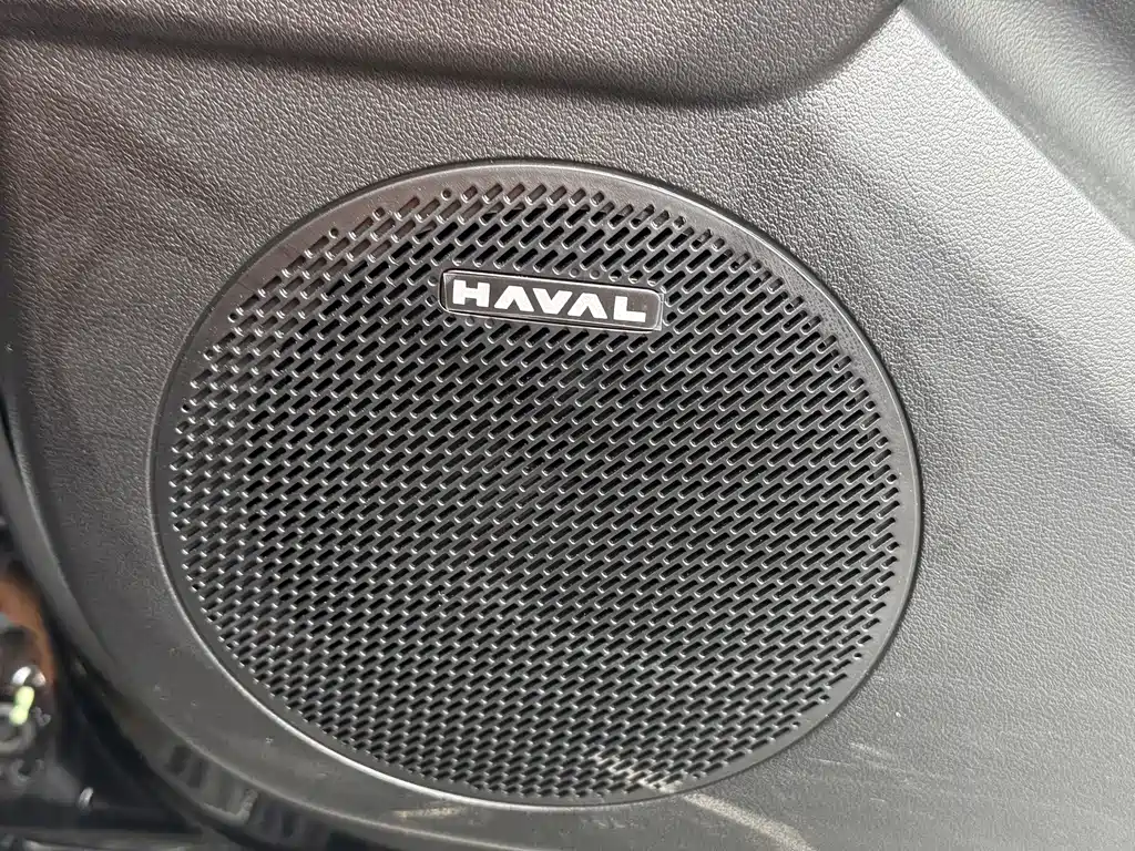 Haval Menglong Petrol — миниатюра 5