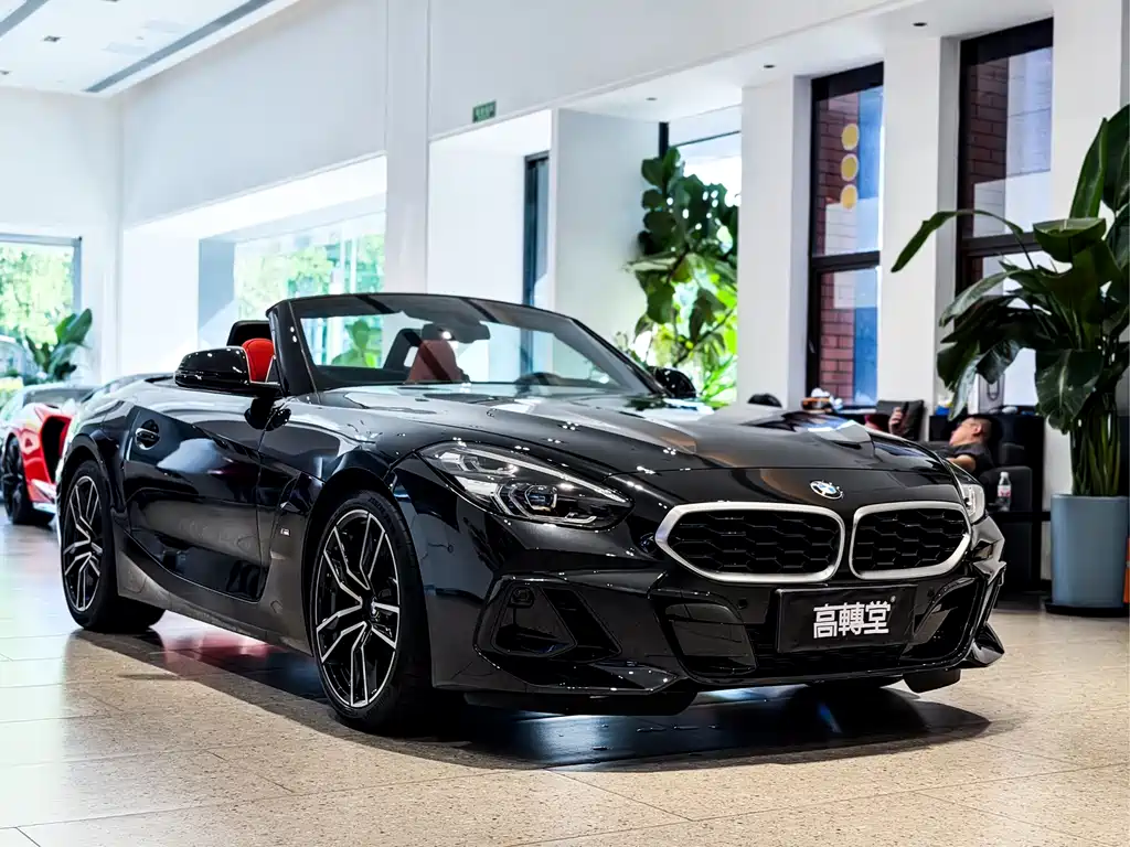 BMW Z4 — миниатюра 5