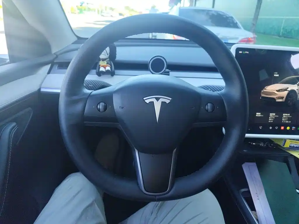 Tesla Model Y — миниатюра 11