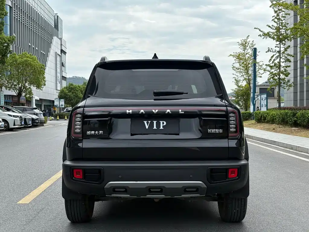 Haval 长城大狗 — миниатюра 14