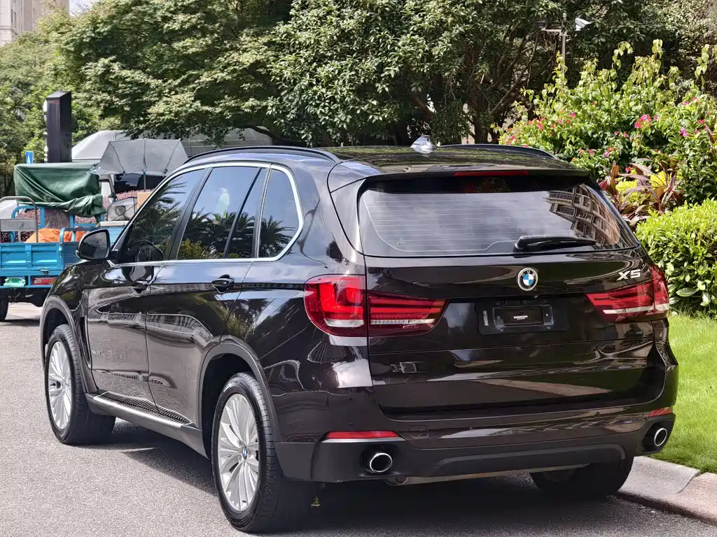 BMW X5 (Import) — миниатюра 5