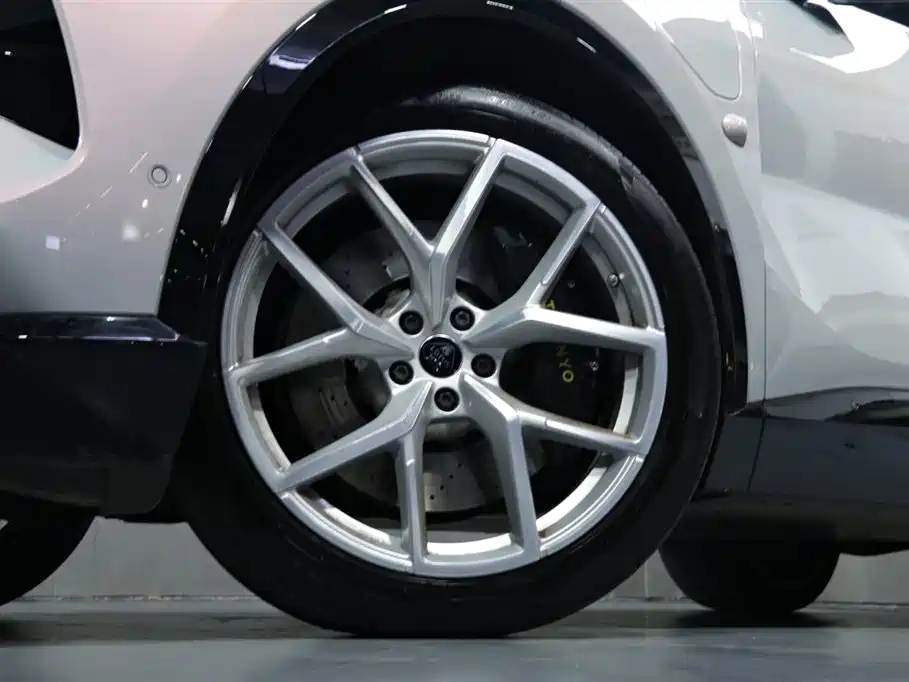 LOTUS SPORTS CAR ELETRE