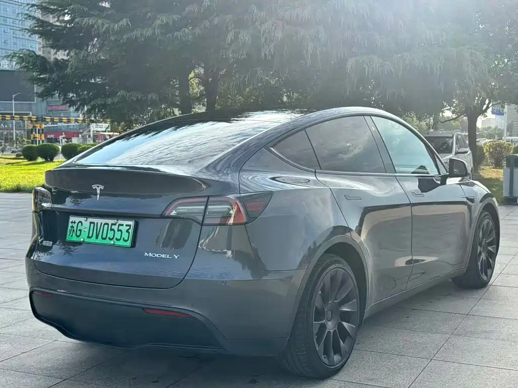Tesla Model Y — миниатюра 7