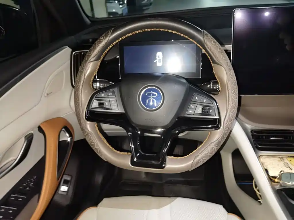 BYD Pro New Energy — миниатюра 7