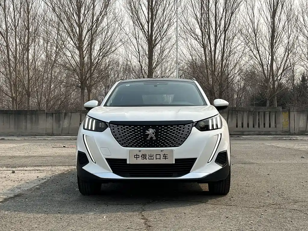 Peugeot 2008 — миниатюра 2