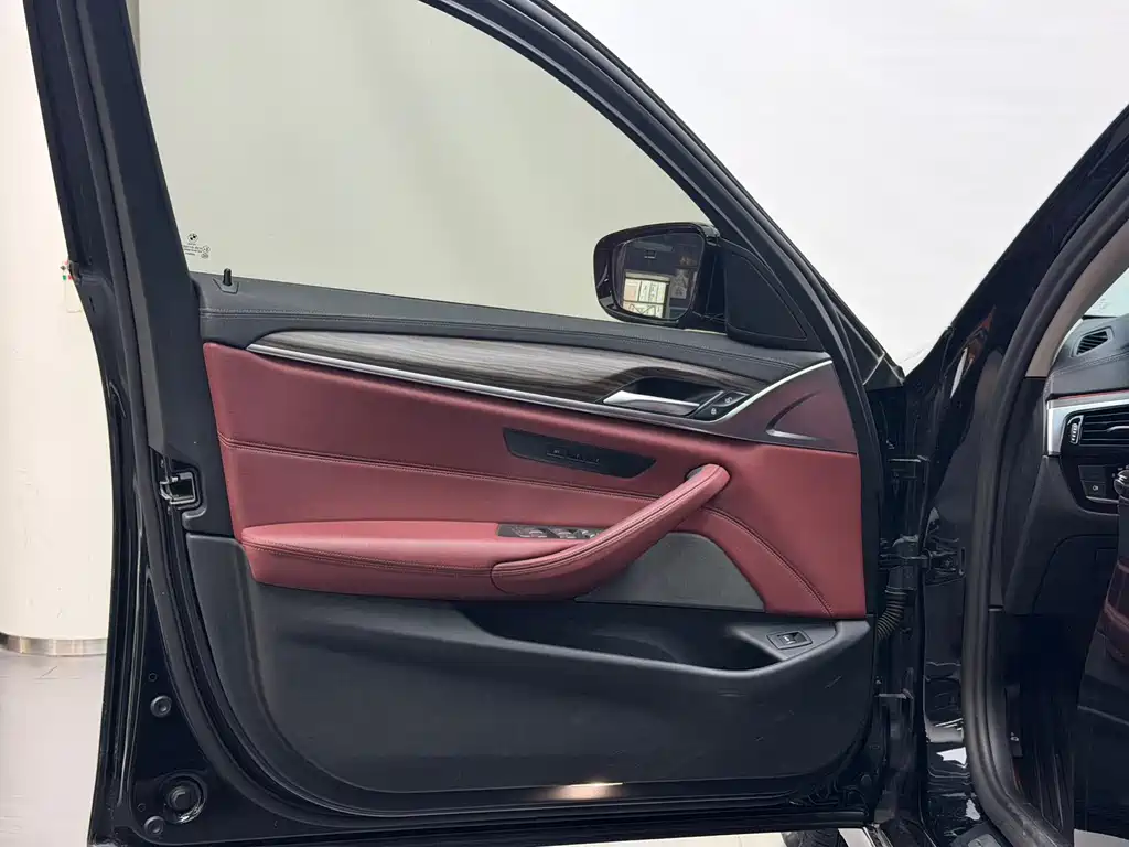 BMW 5 Series 5 2021 530Li Lead Luxury