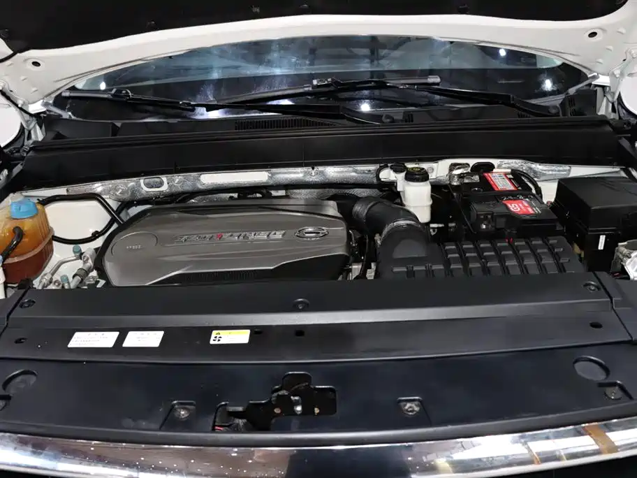 GAC Motor GS8 320T 2WD Luxury Edition （ 7-seat ）, фото 20