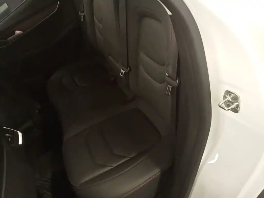 Borgward BX5 — миниатюра 17