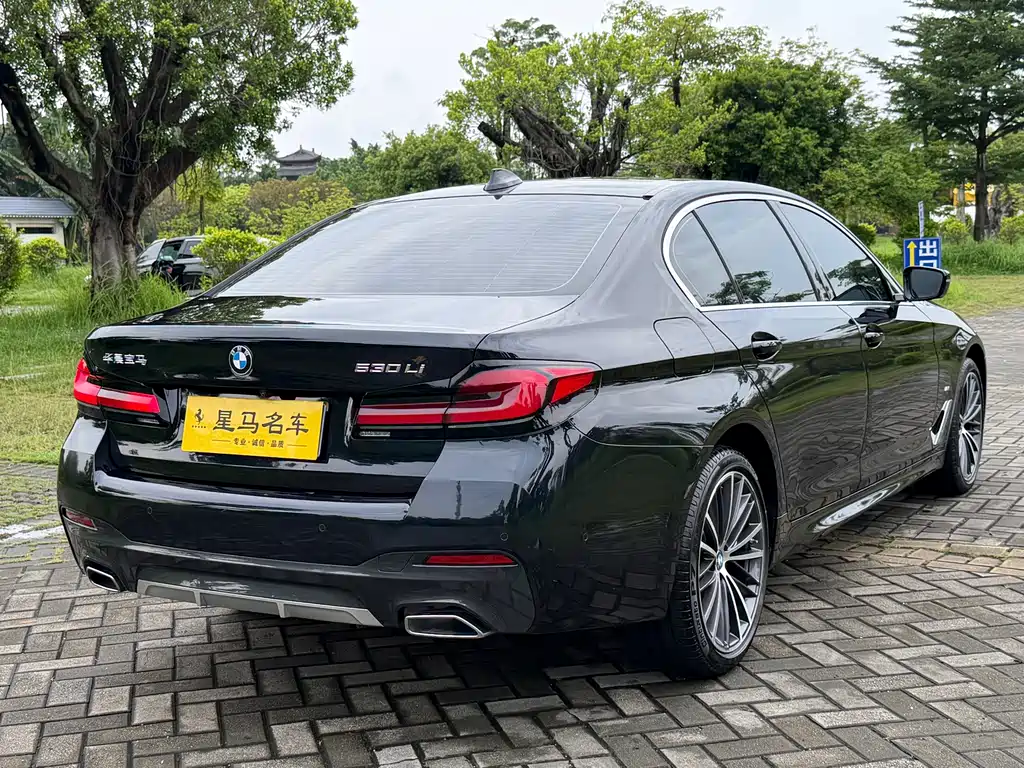BMW 5 Series — миниатюра 16