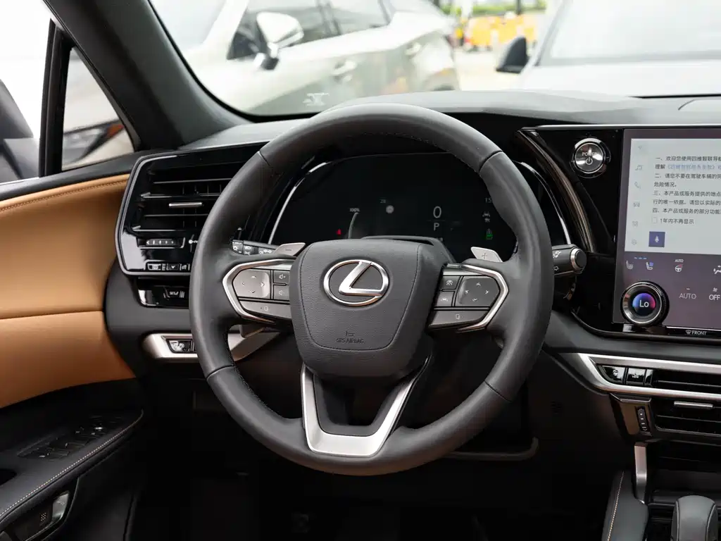 Lexus RX New Energy — миниатюра 14
