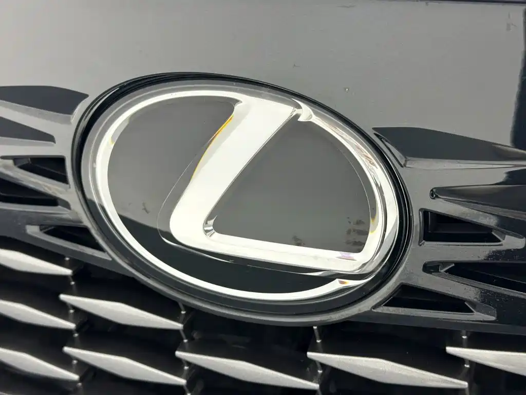 Lexus RX — миниатюра 20