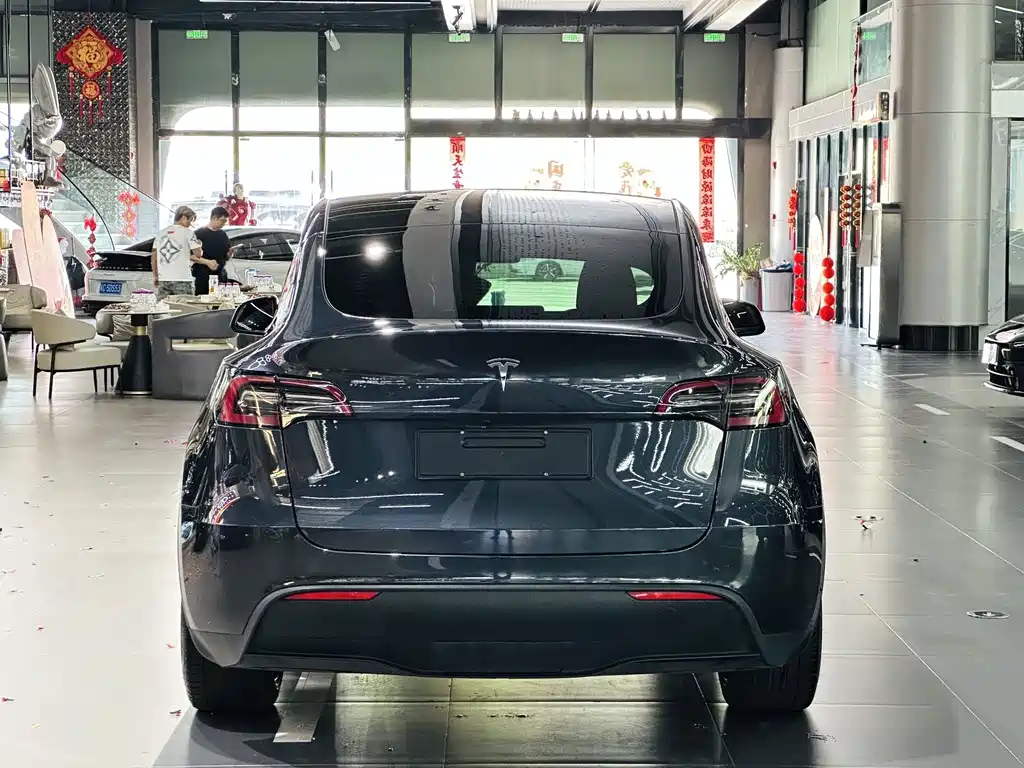 Tesla Model Y — миниатюра 8