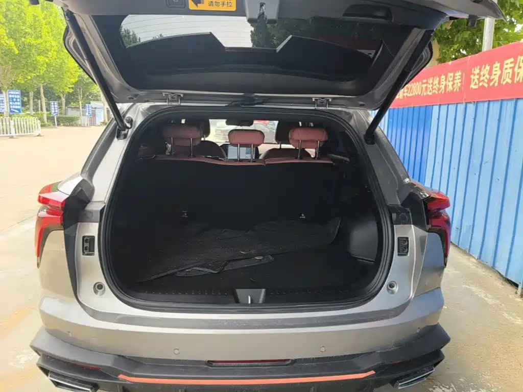 Haval Shenshou — миниатюра 19