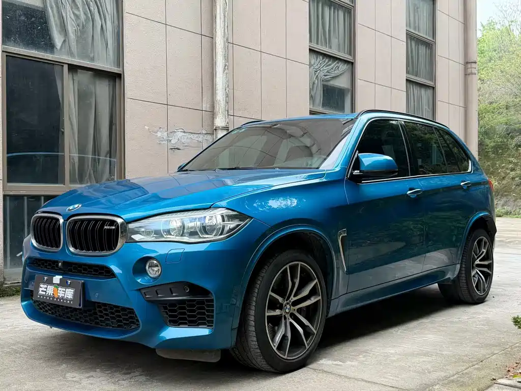 BMW X5 M 2013 X5 M