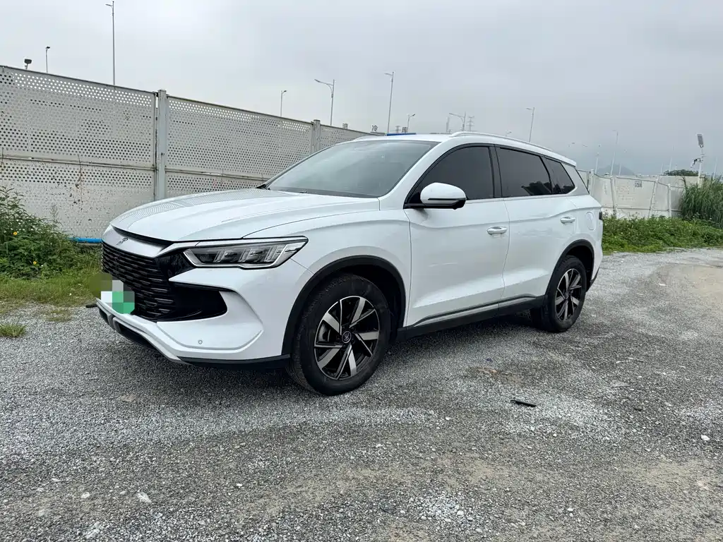 Byd Pro New Energy 2024
