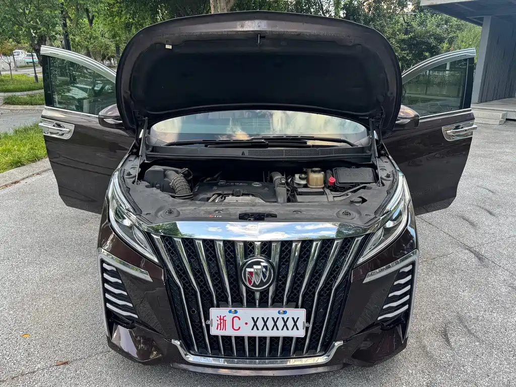 Buick GL8 — миниатюра 22