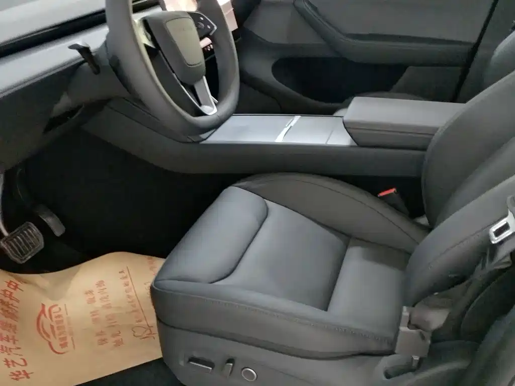 Tesla Model Y — миниатюра 4