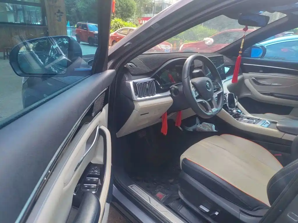 BYD PLUS New Energy — миниатюра 17