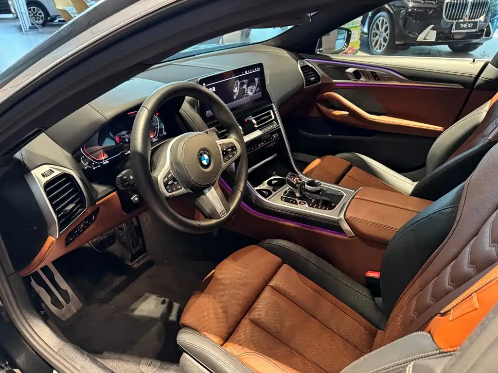 BMW 8 Series — миниатюра 10
