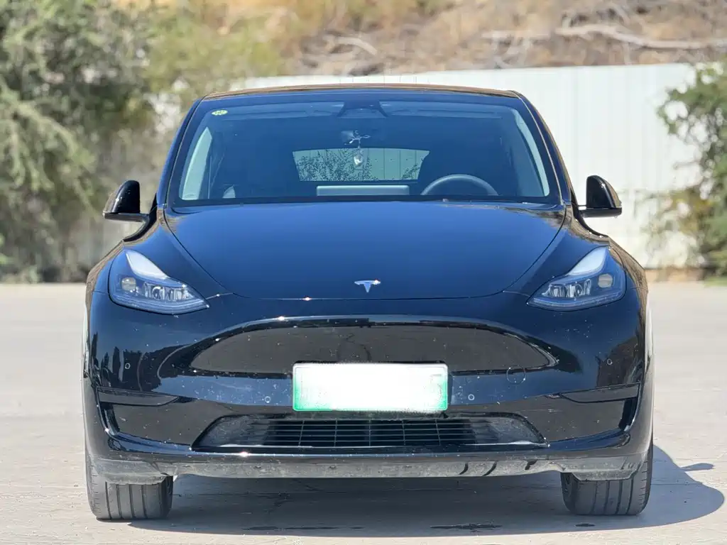Tesla Model Y — миниатюра 2
