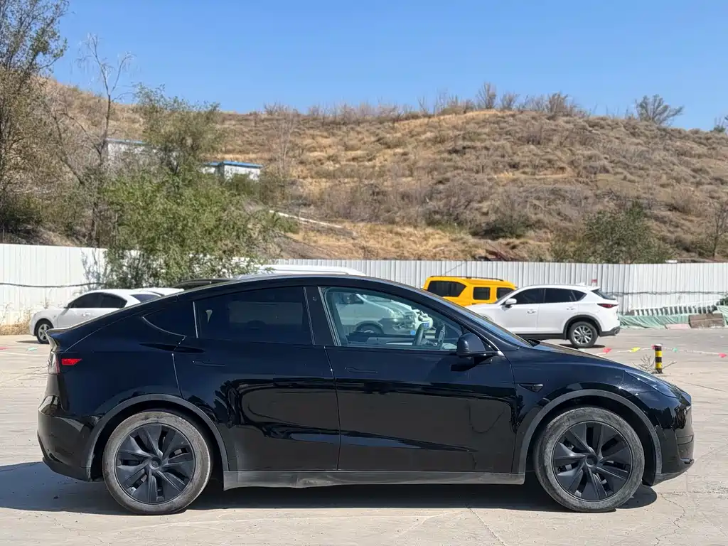 Tesla Model Y — миниатюра 20