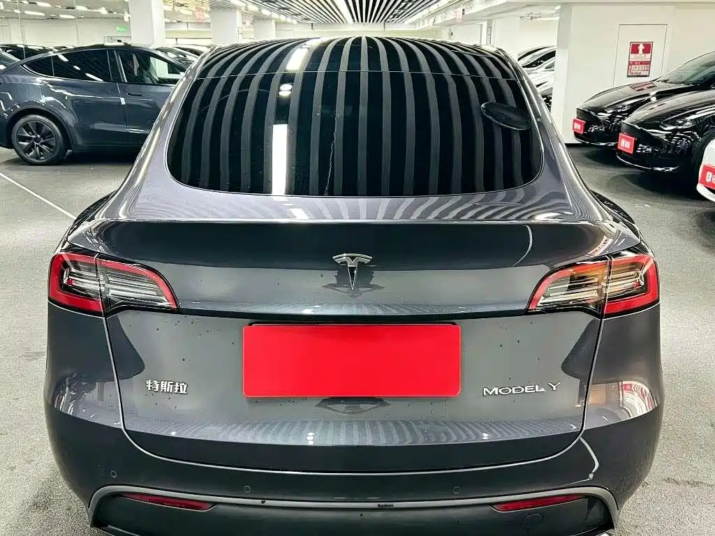 Tesla Model Y — миниатюра 5