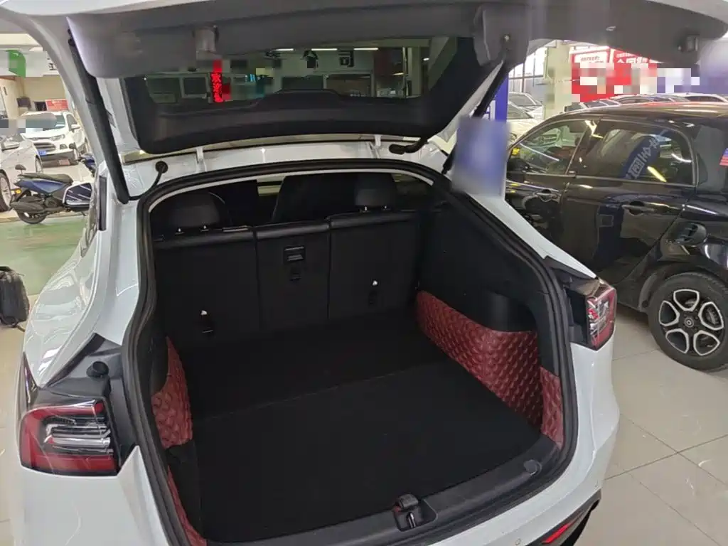 Tesla Model Y — миниатюра 19